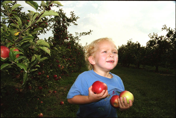 Boy With Apples-New York composer