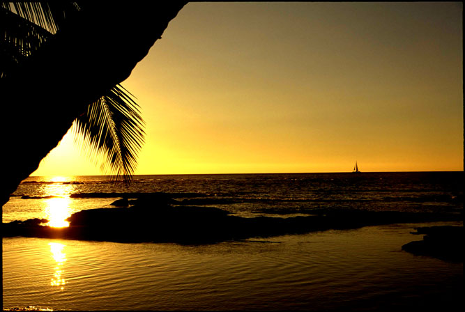 Hawaiian Sunset-producer